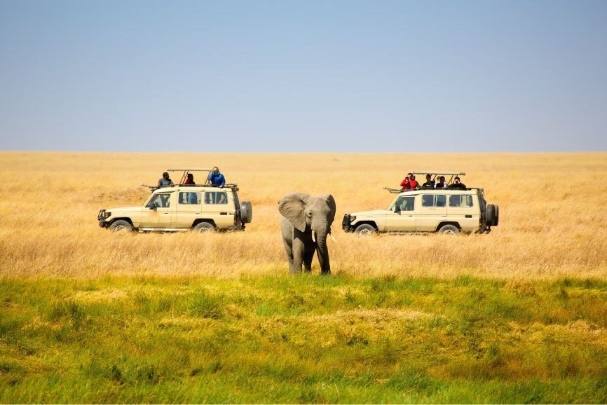 Kenya: A Journey Through Wild Beauty, Coastlines and Culture