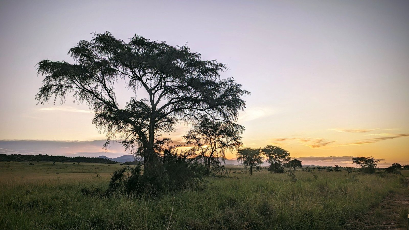 Kidepo Valley National Park