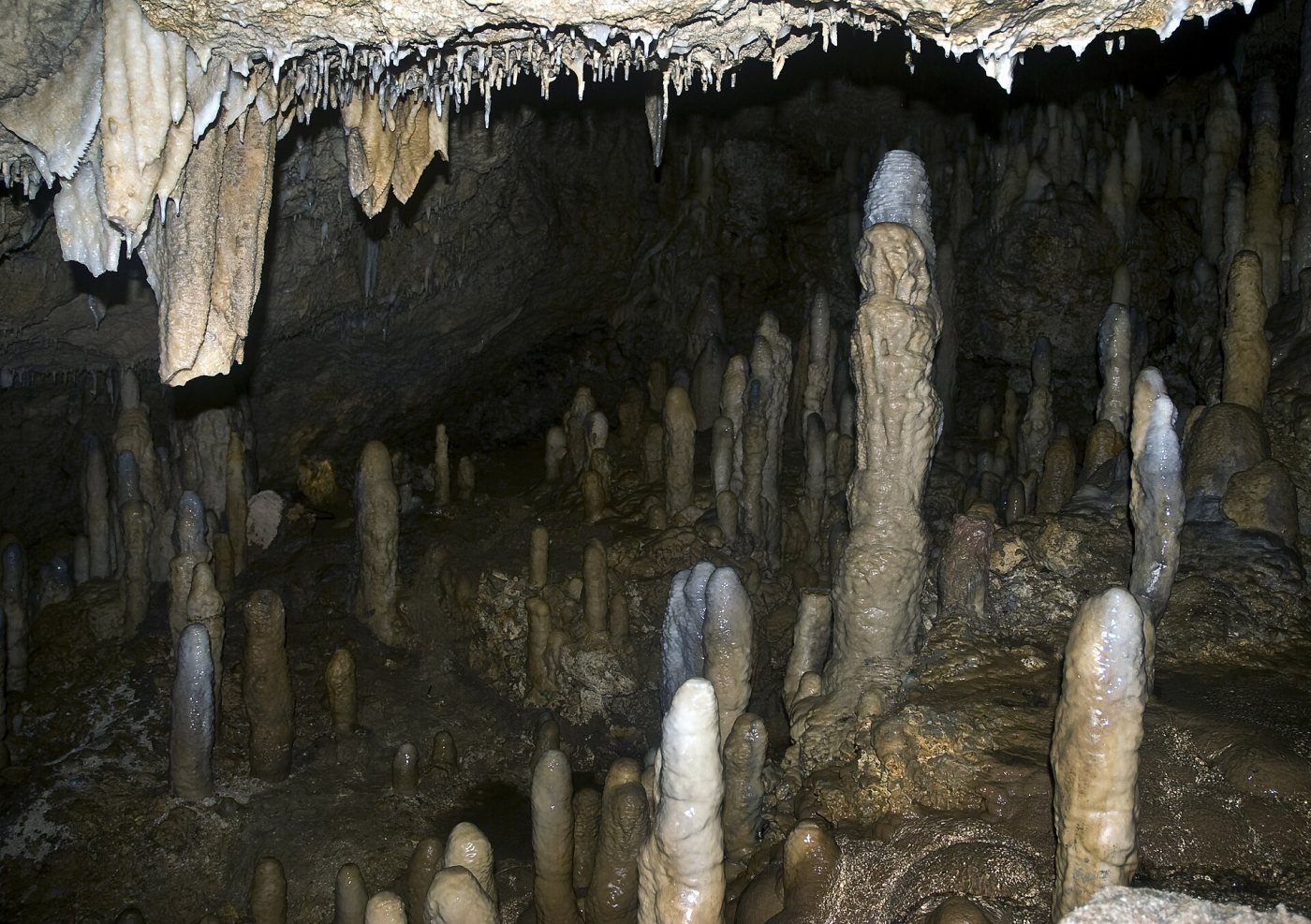 Harrison’s Cave, St Thomas