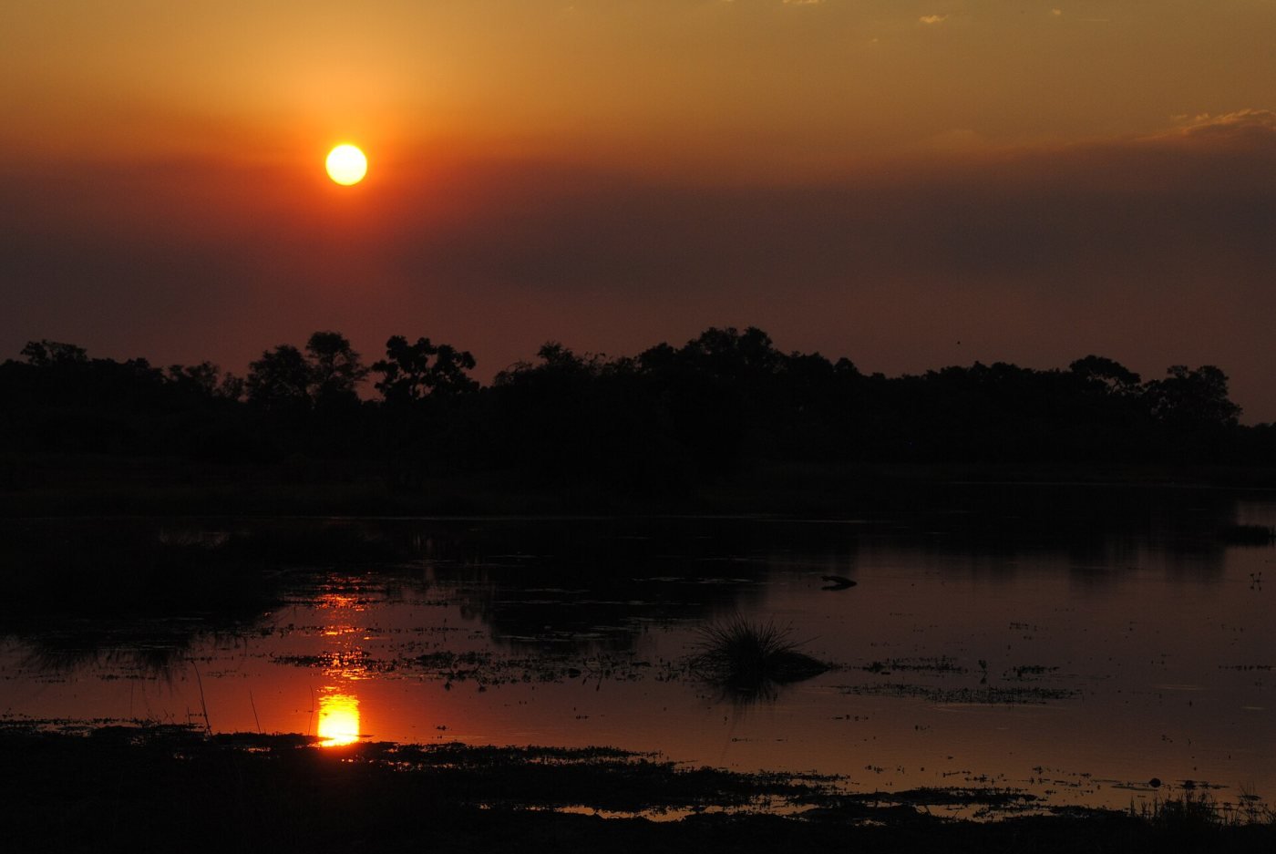 Moremi Game Reserve, Okavango edge