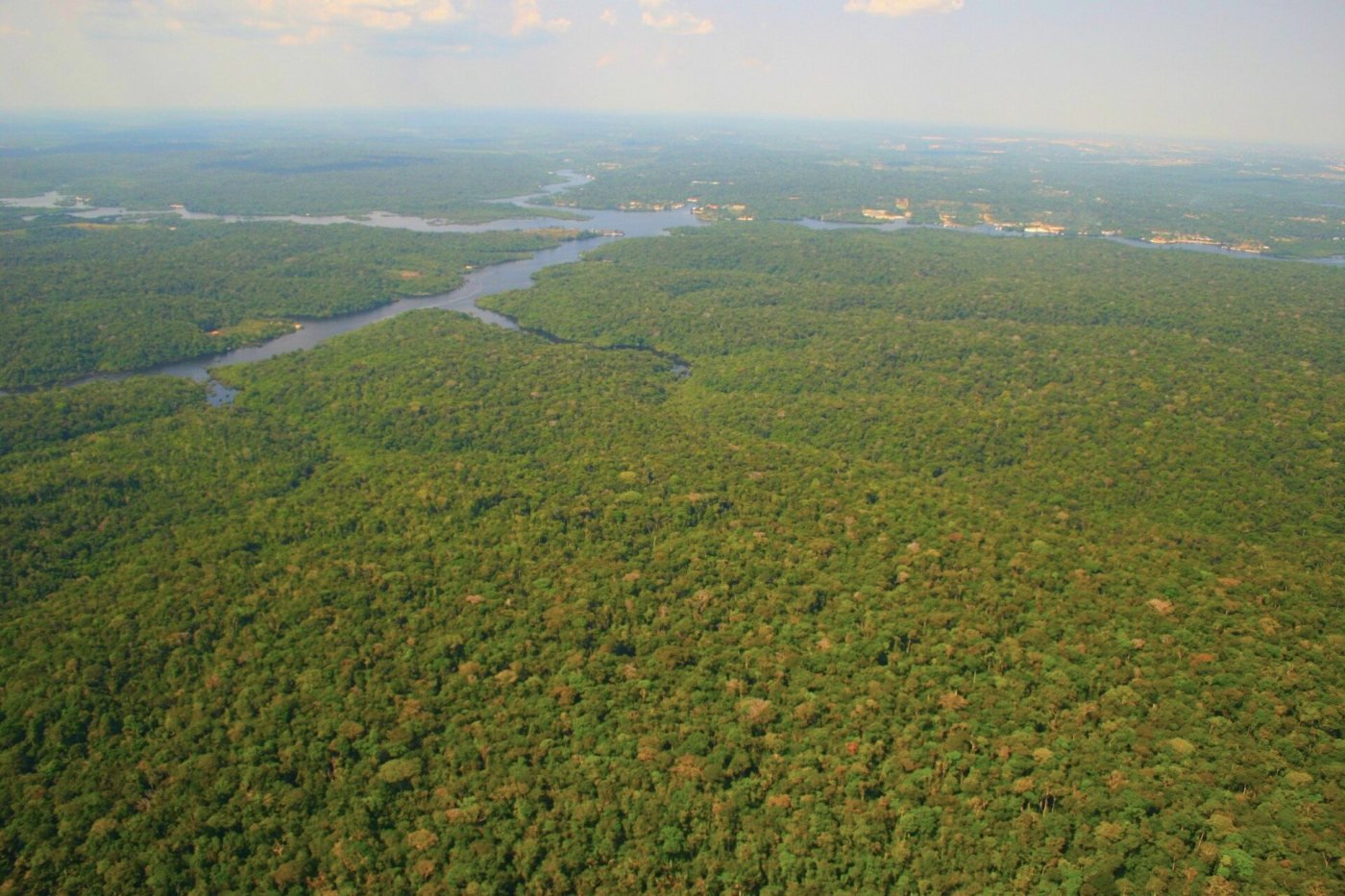 Amazon rainforest, Manaus