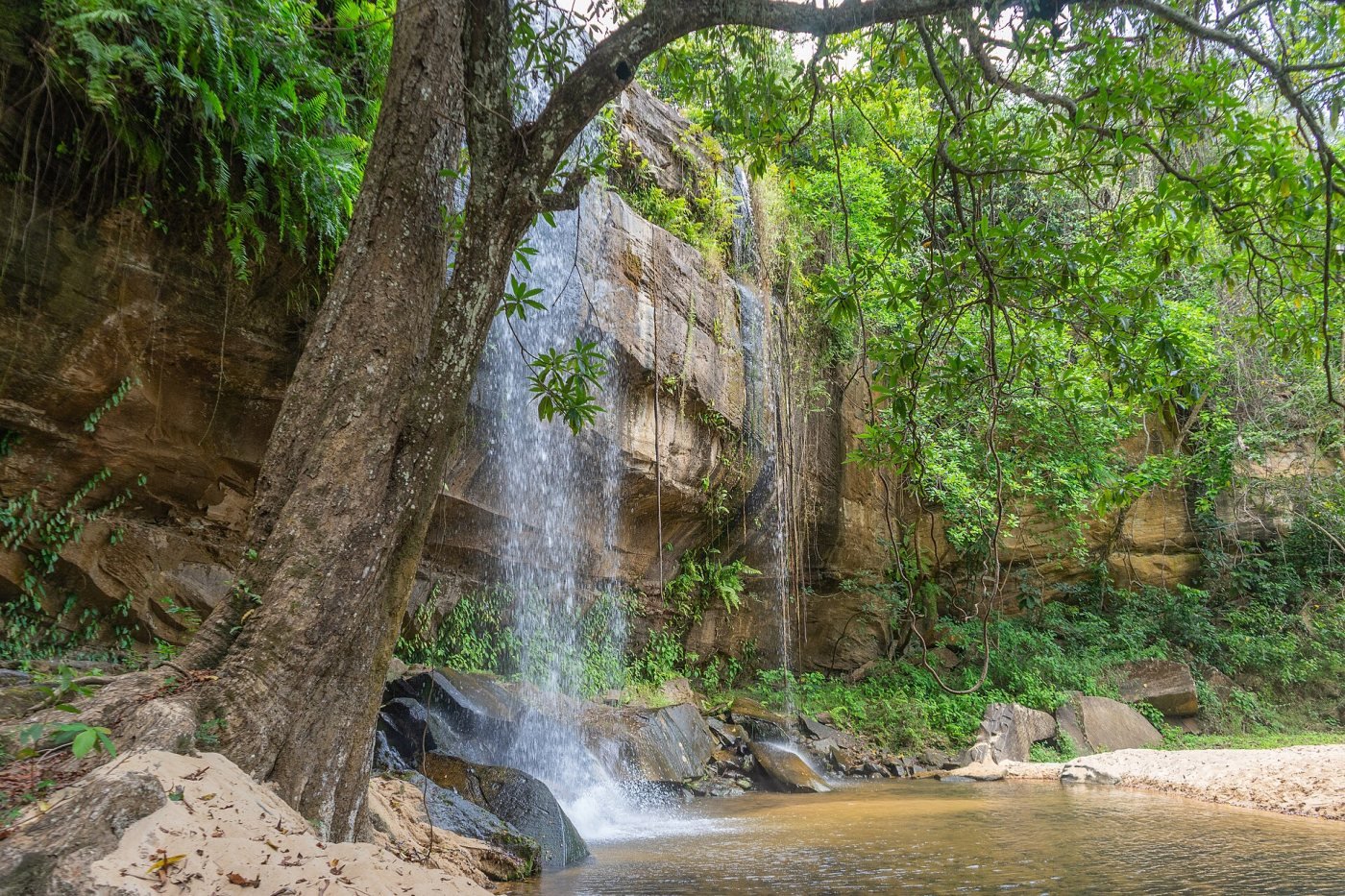 Shimba Hills, Shimba Hills National Reserve