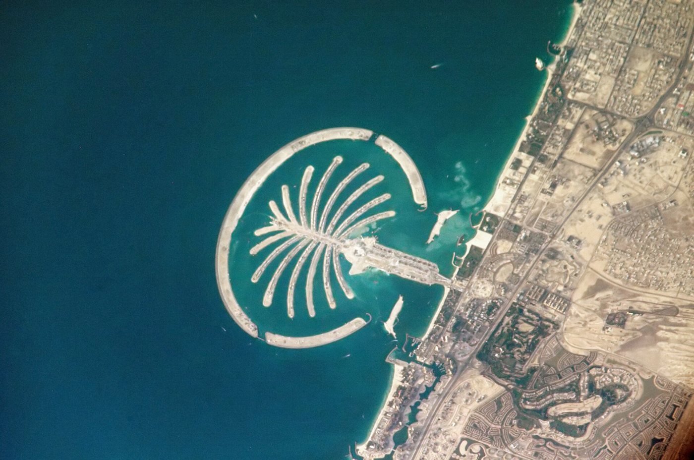 Palm Jumeirah, Palm Jumeirah