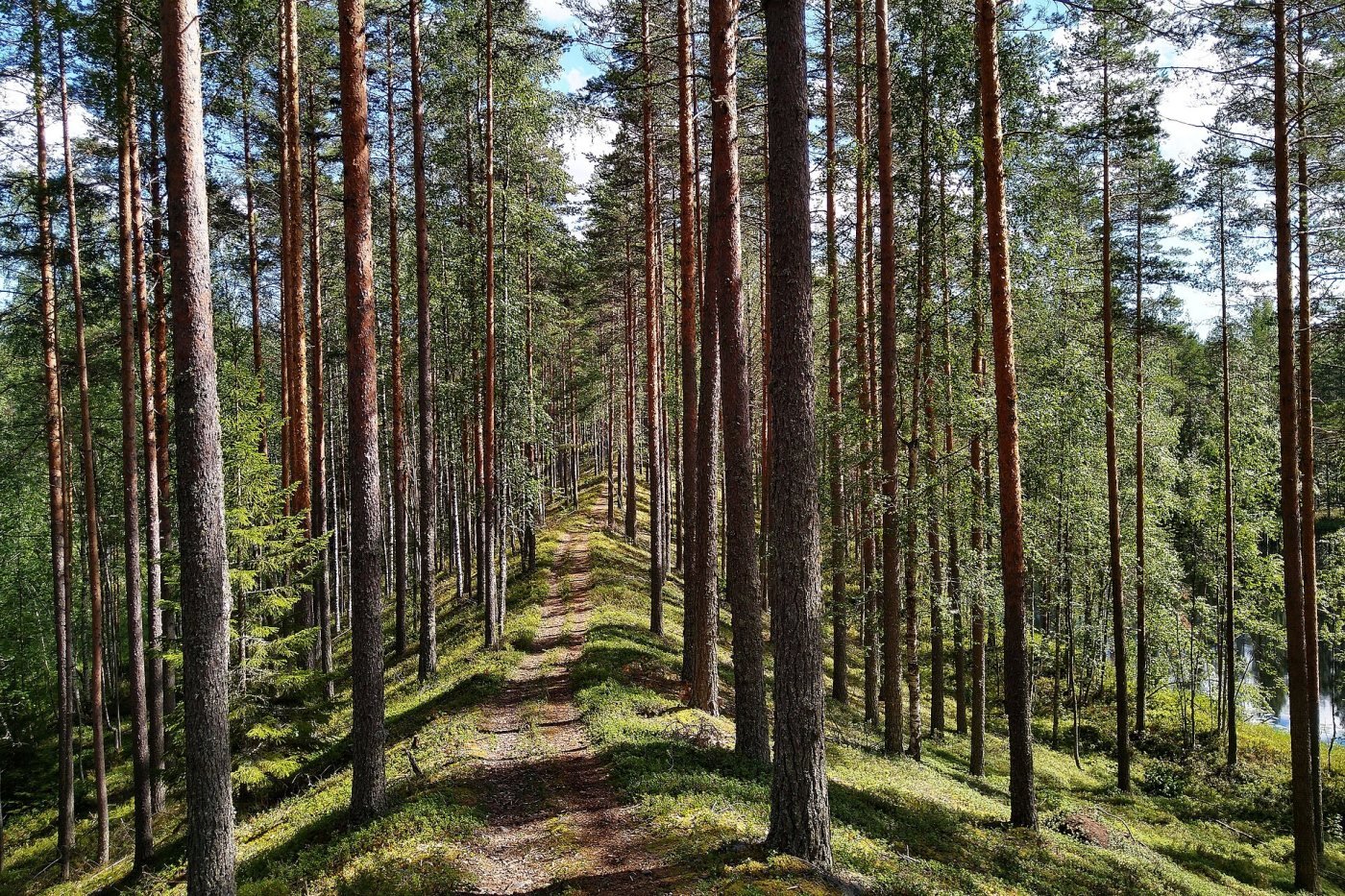 Finnish lakeland, Lakeland