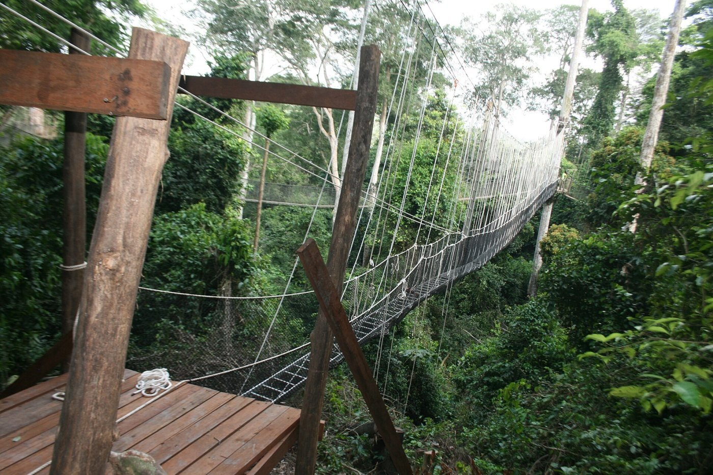 Kakum canopy walkway, Kakum National Park