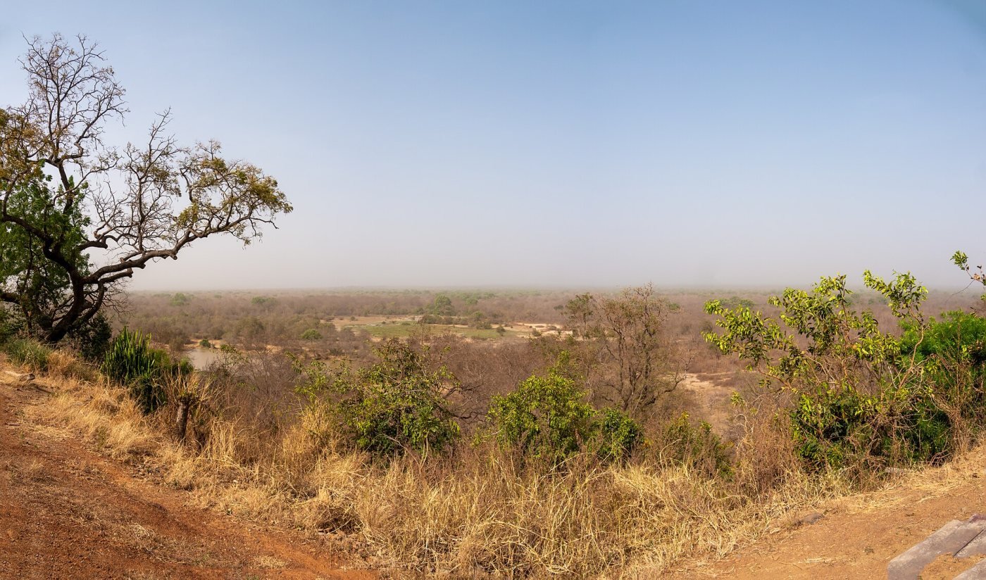 Mole National Park, Northern Ghana