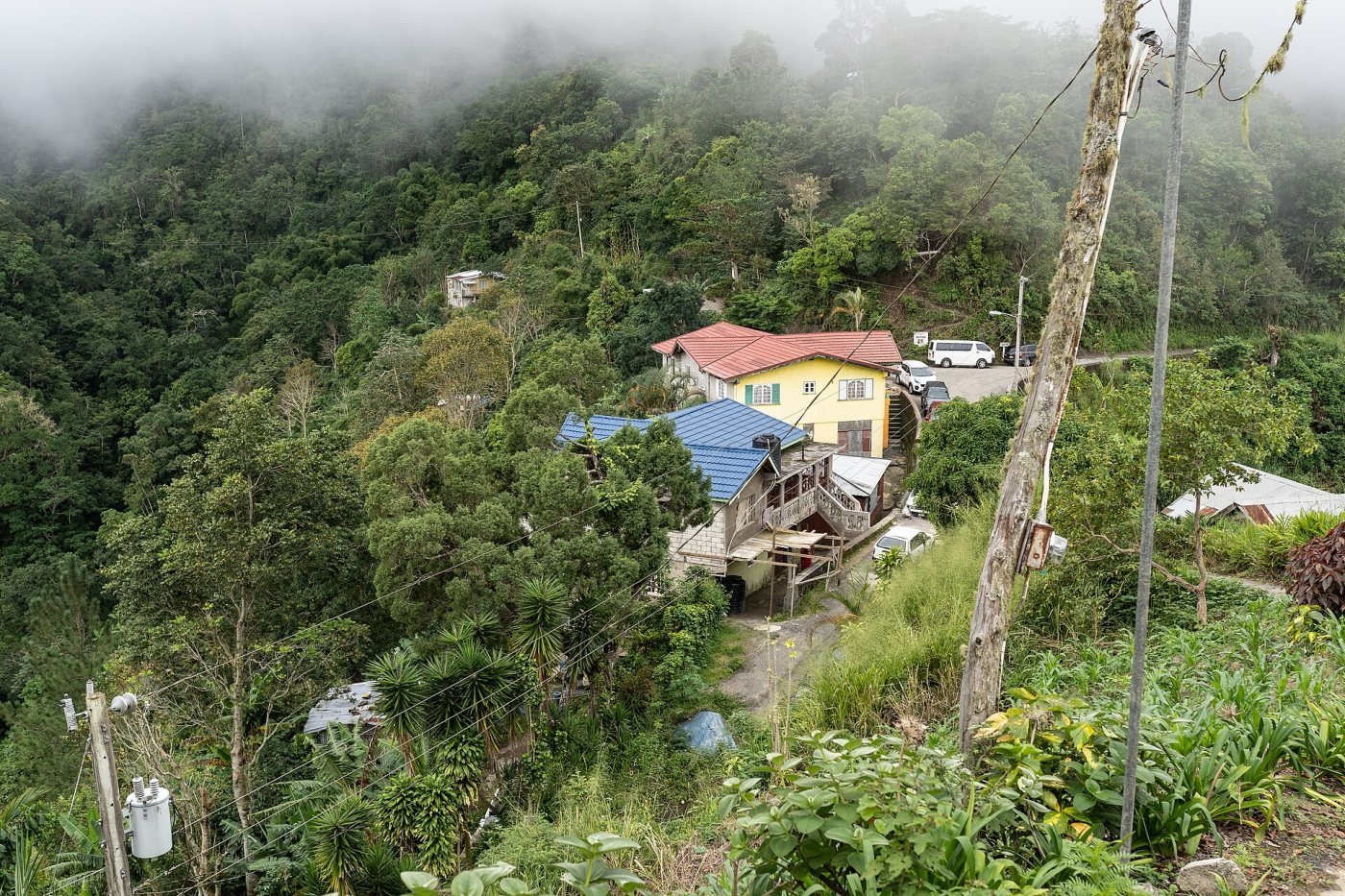 Blue Mountains, Blue Mountains
