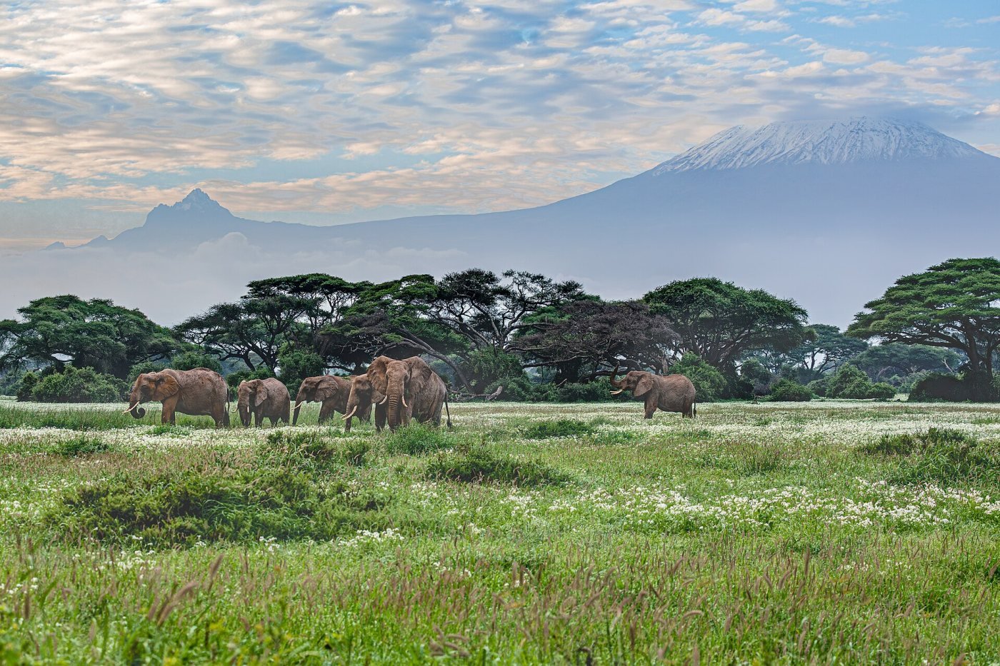 Amboseli & Kilimanjaro, Amboseli National Park