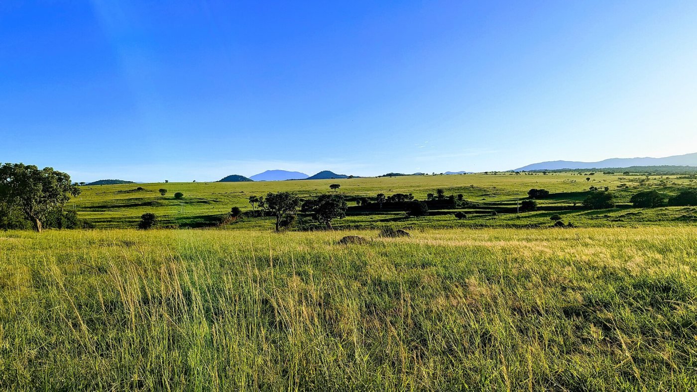 Narus Valley game drive, Narus Valley, Kidepo