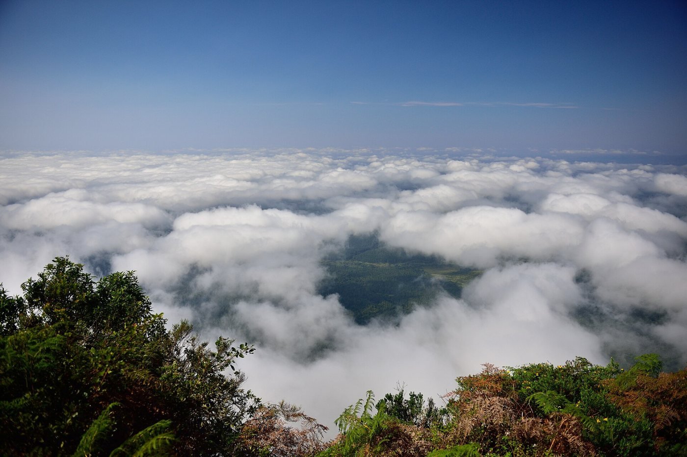 God’s Window, Panorama Route