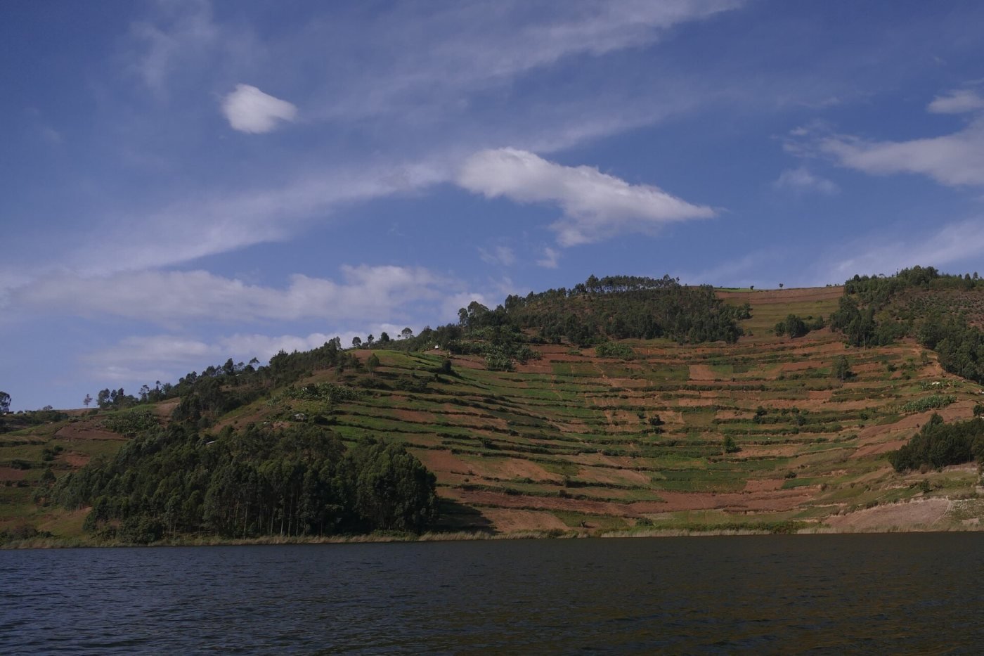 Terraced hills at sunrise, Lake Bunyonyi shoreline