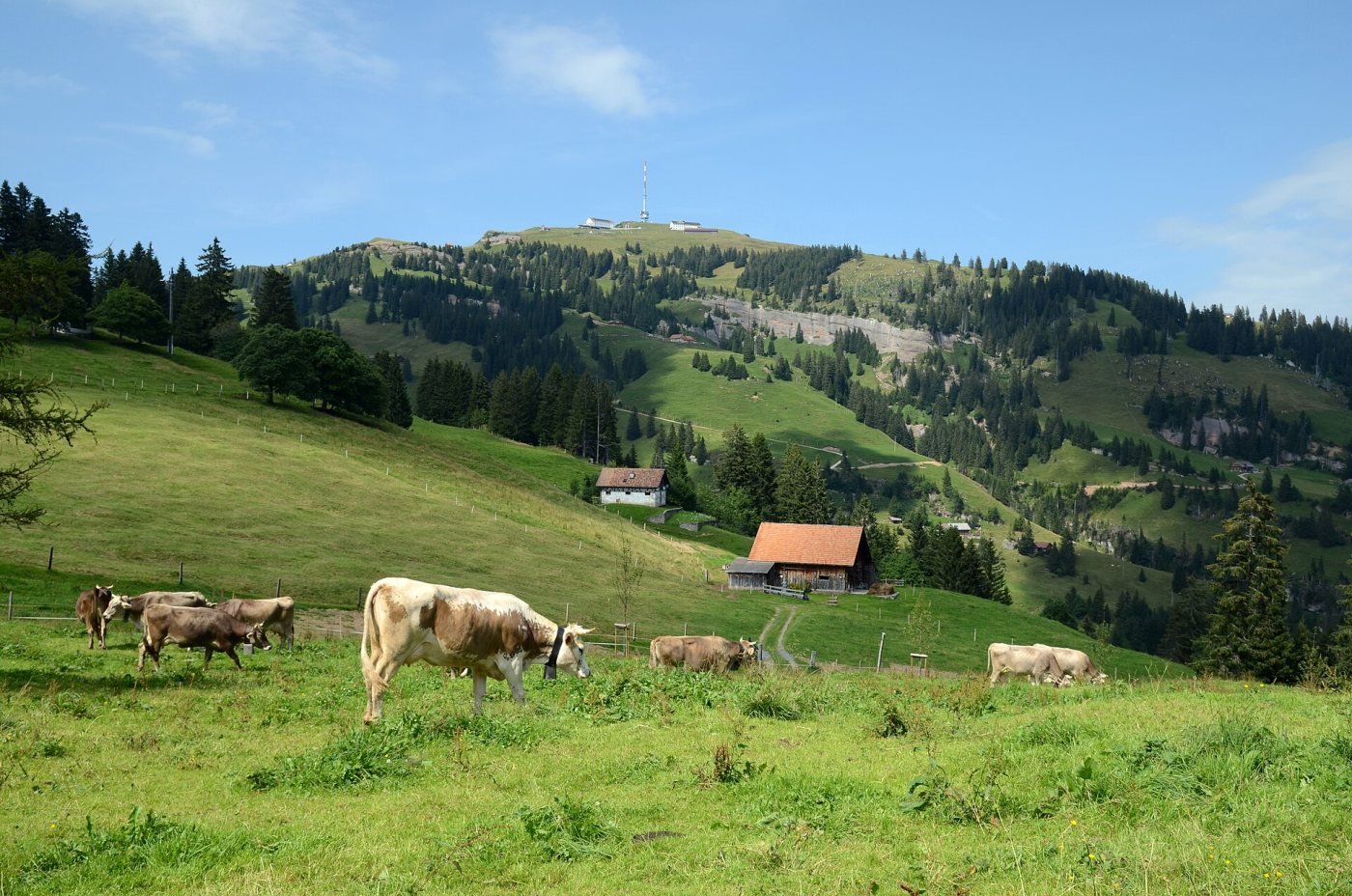 Rigi Kulm, Mount Rigi
