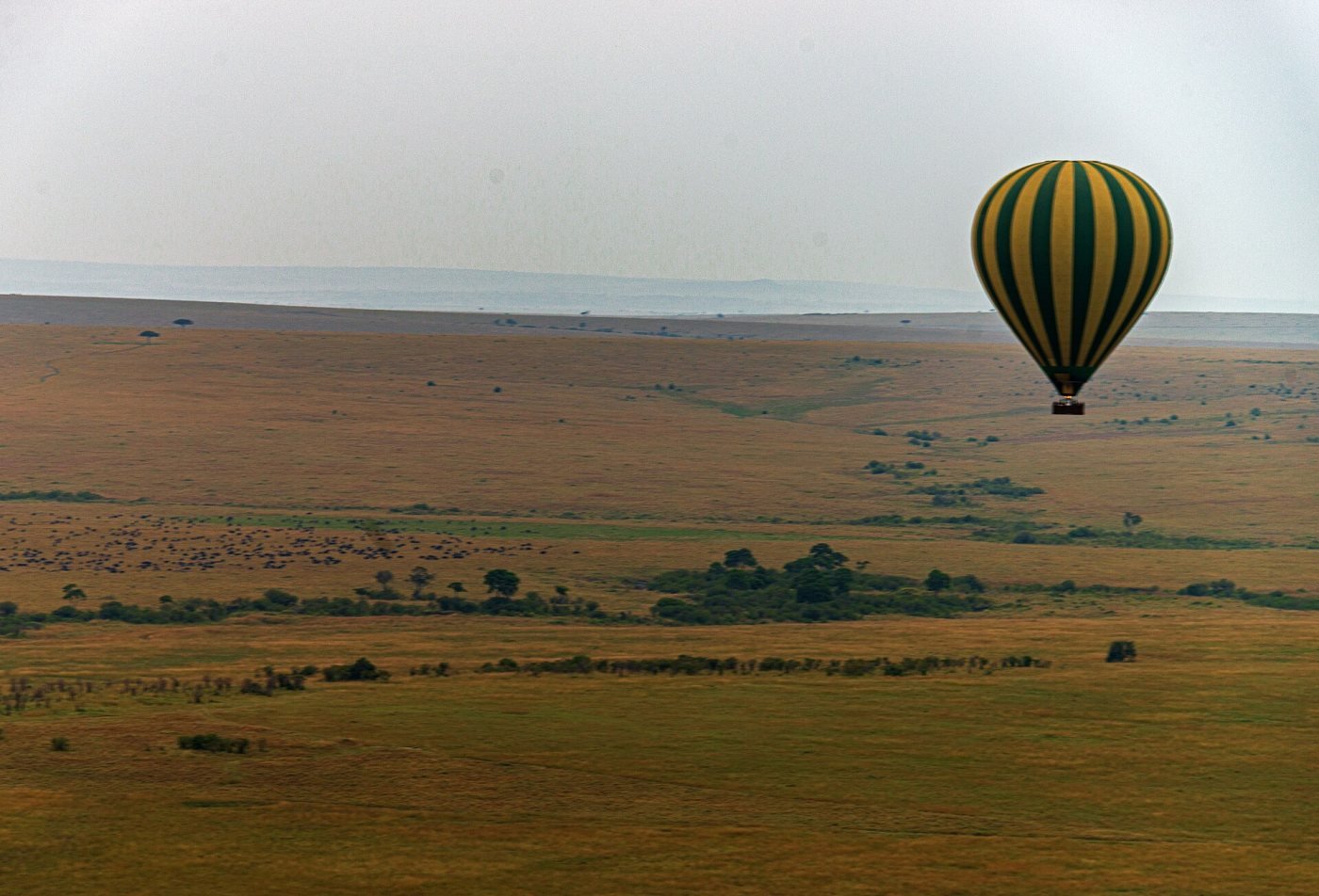 Dawn hot-air balloon, Maasai Mara