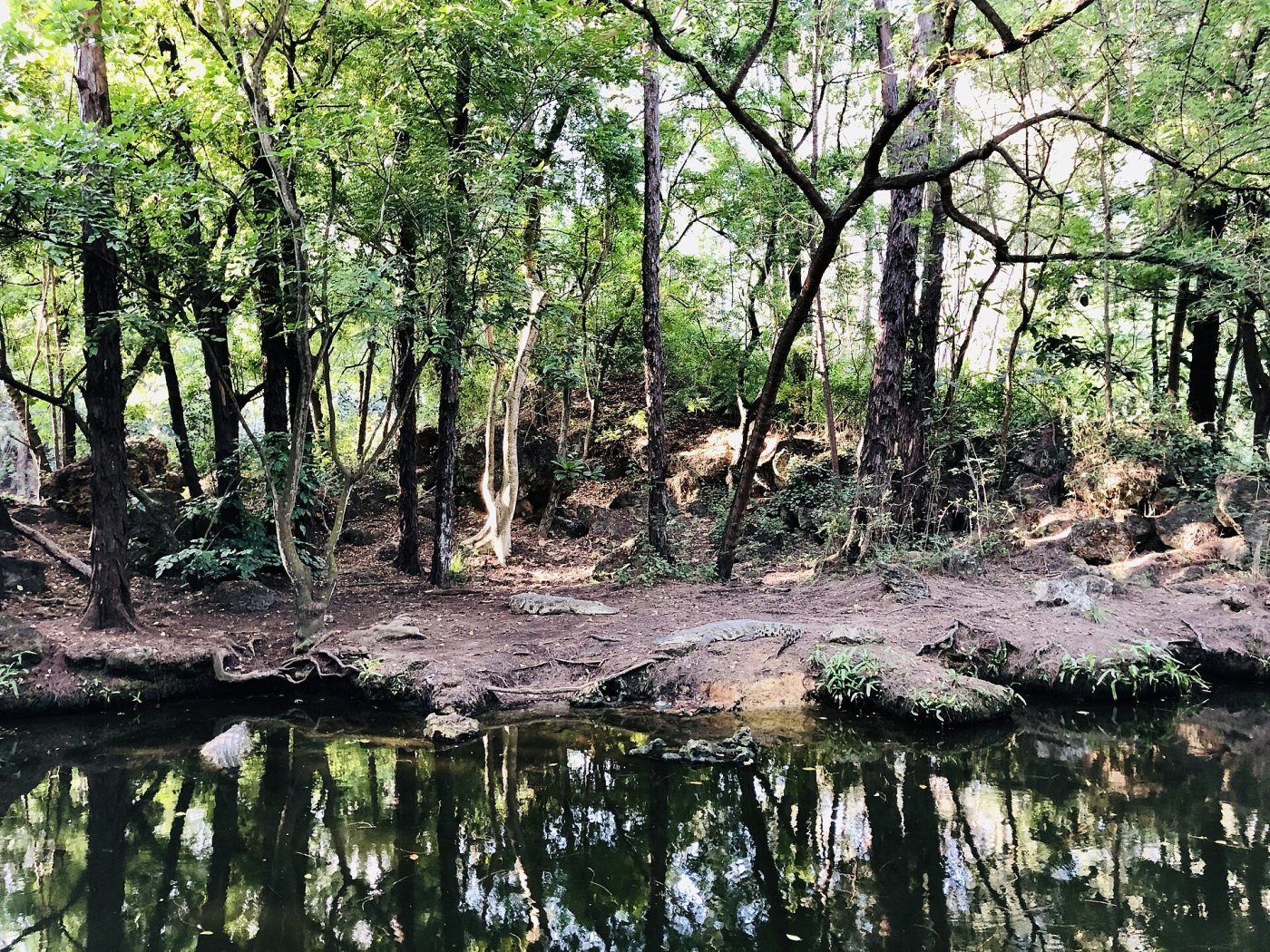Haller Park, Bamburi, Mombasa
