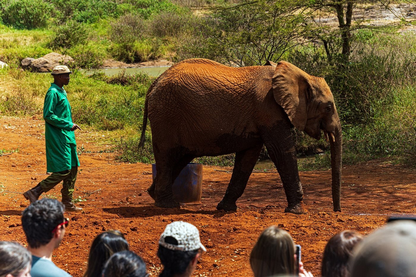 David Sheldrick Wildlife Trust, Nairobi