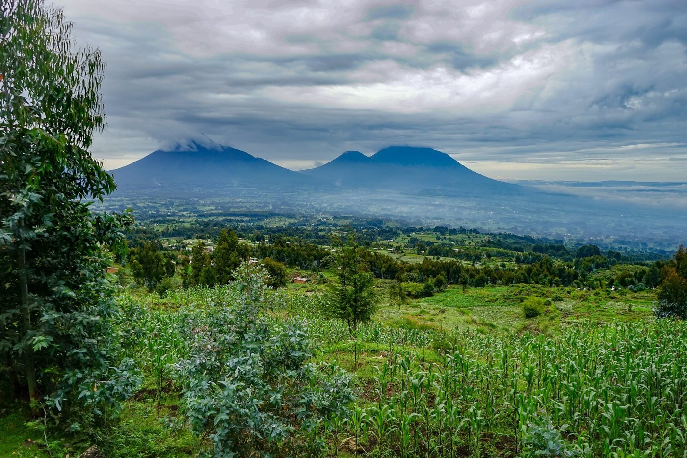 Rwanda