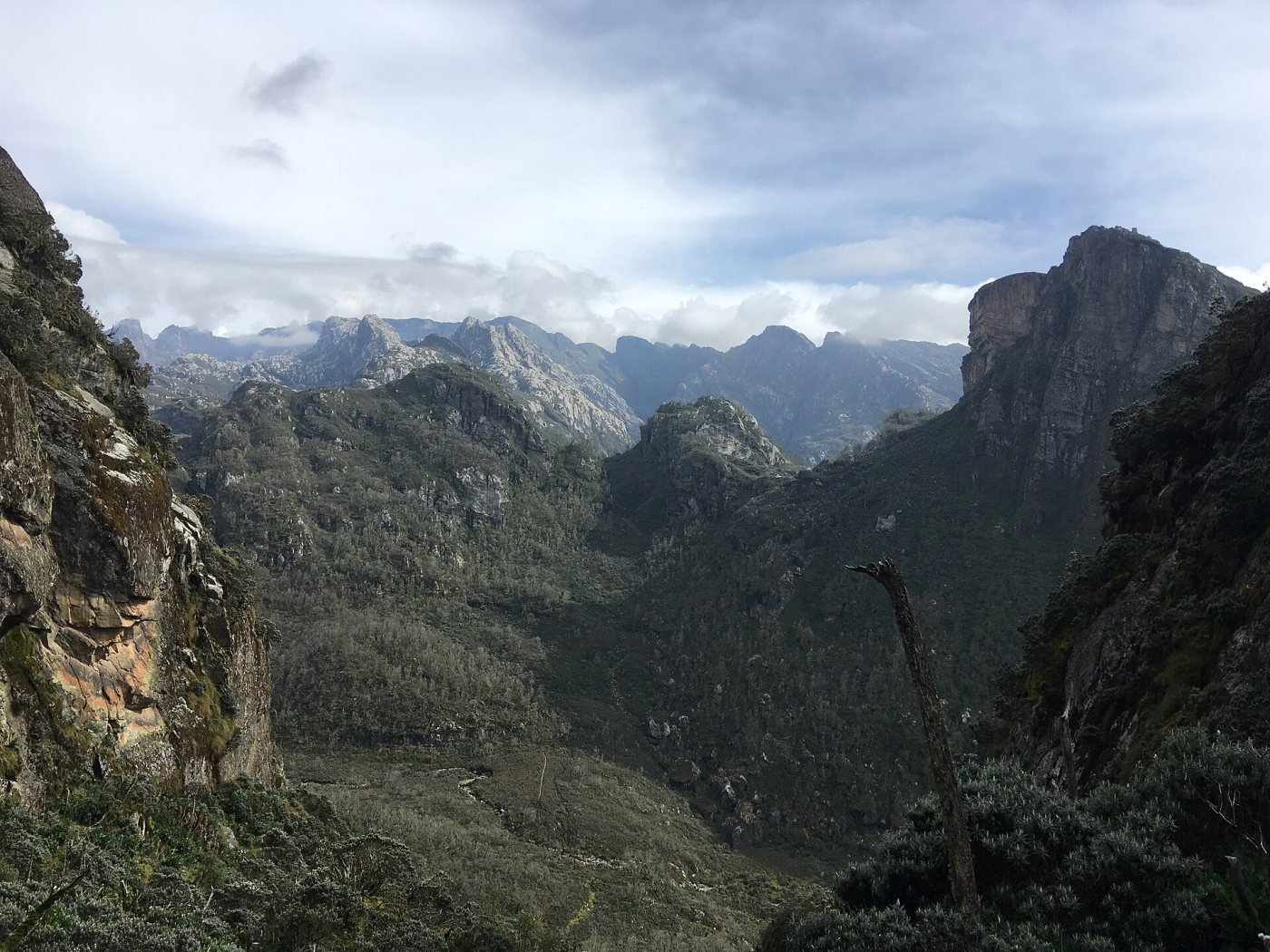 Mubuku Valley trail, Nyakalengija trailhead