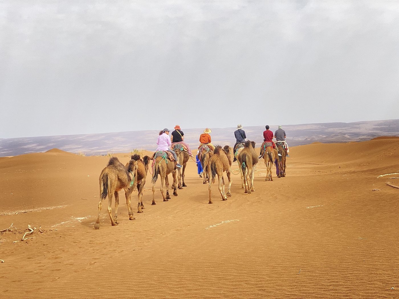 Camel trek to a desert camp, Merzouga