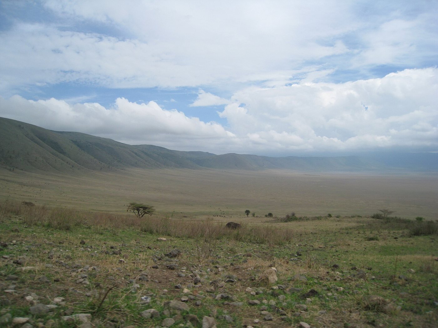 Ngorongoro Crater, Ngorongoro Conservation Area