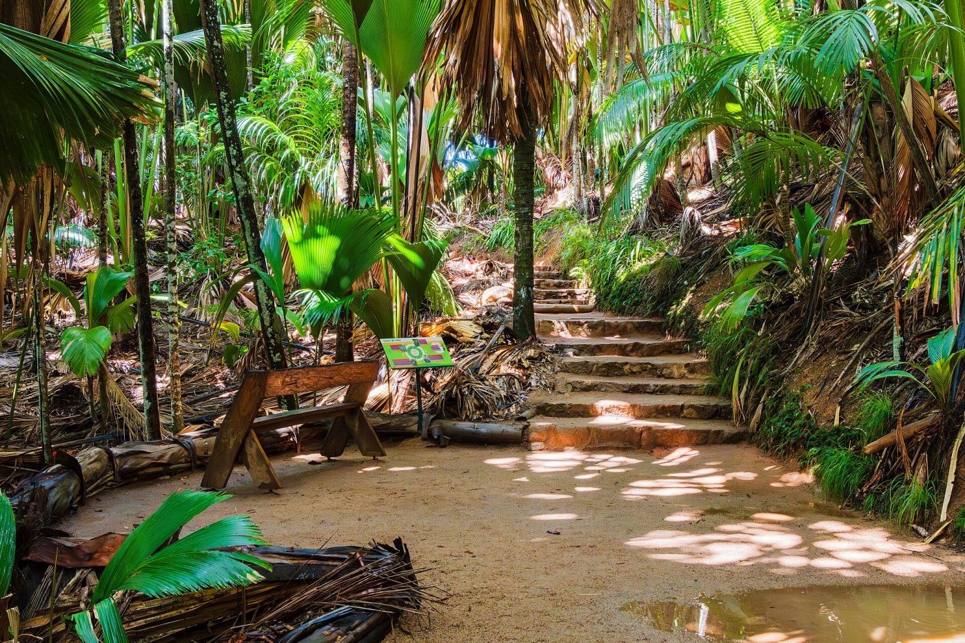Vallée de Mai, Praslin