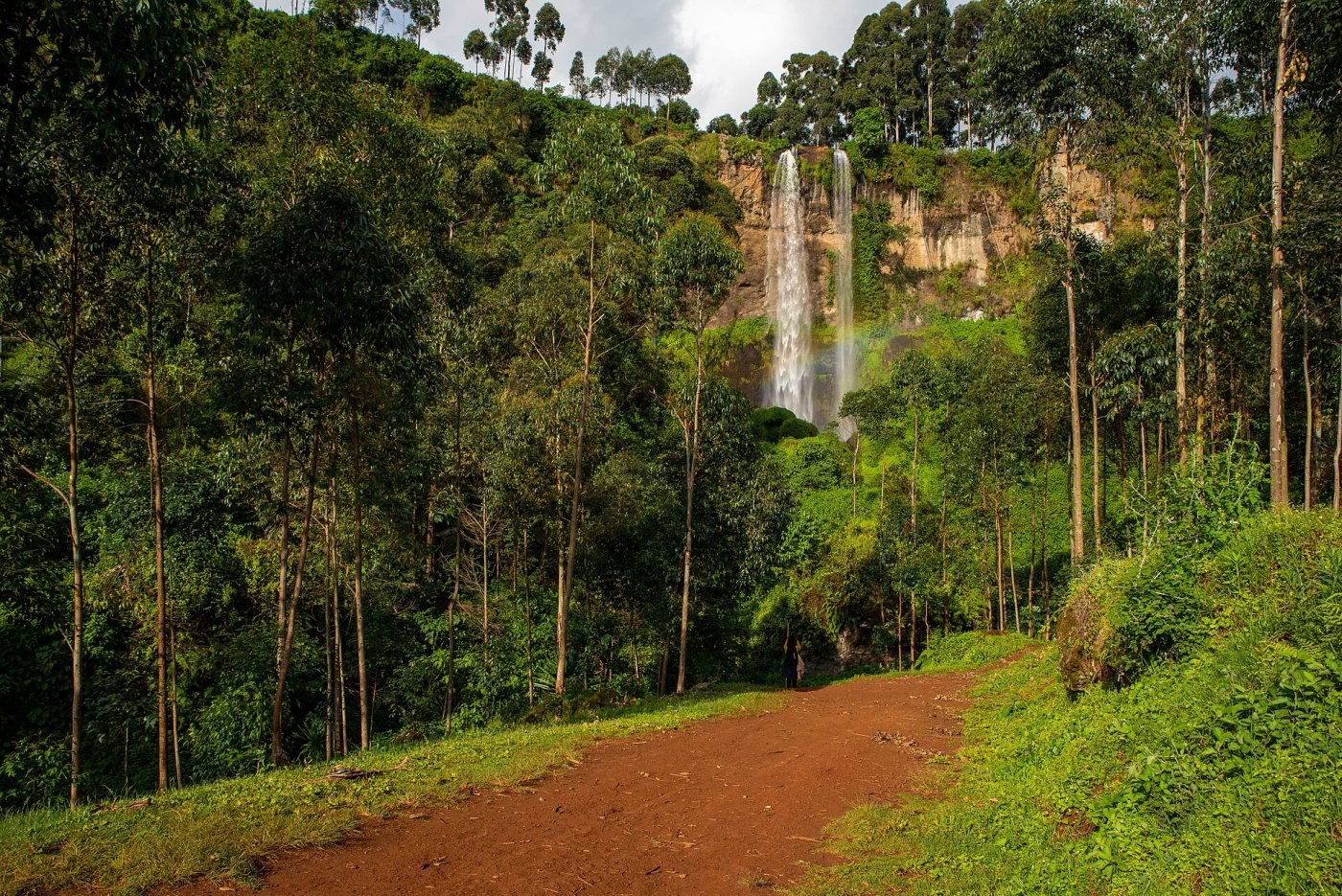 Mount Elgon coffee trail, Sipi, Kapchorwa