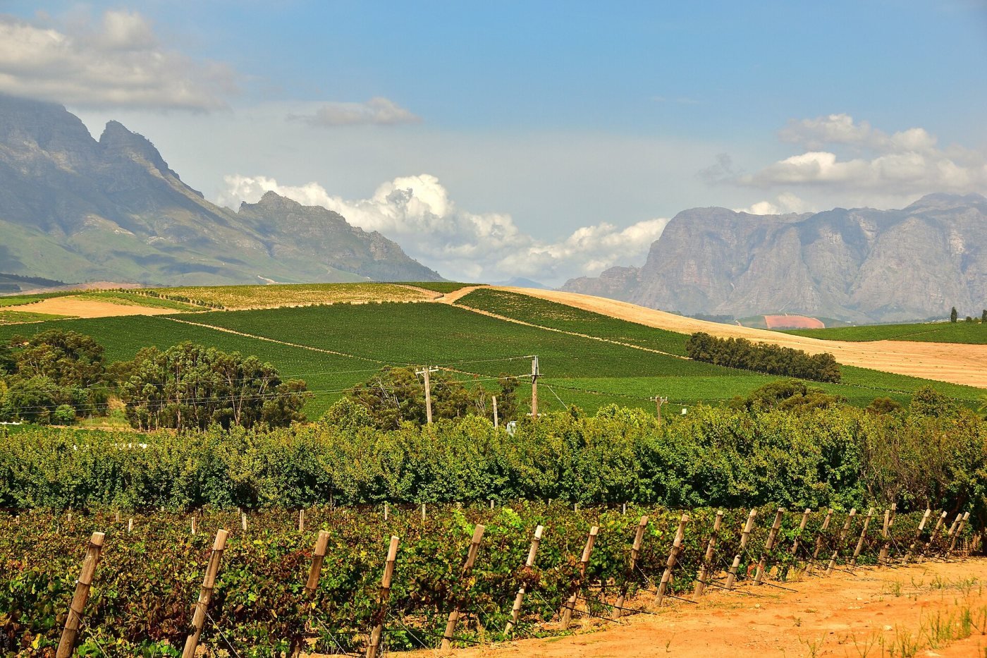 Stellenbosch winelands, Cape Winelands