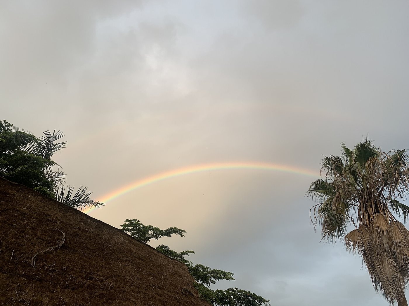 Bugala Island beaches, Bugala Island, Lake Victoria