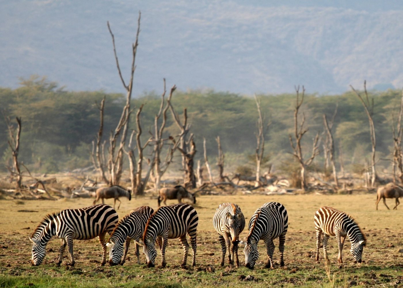 Lake Manyara, Lake Manyara