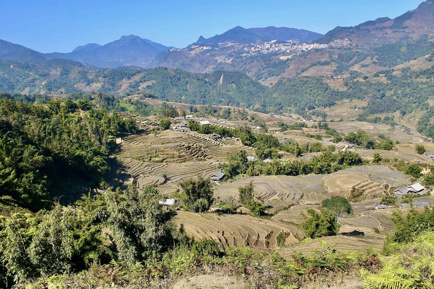 Sapa rice terraces, Lào Cai