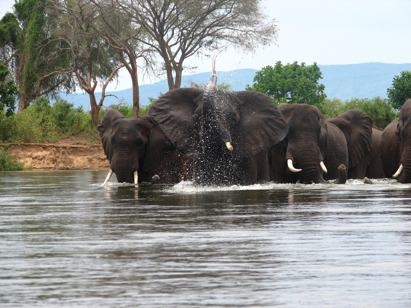 Lower Zambezi, Lower Zambezi