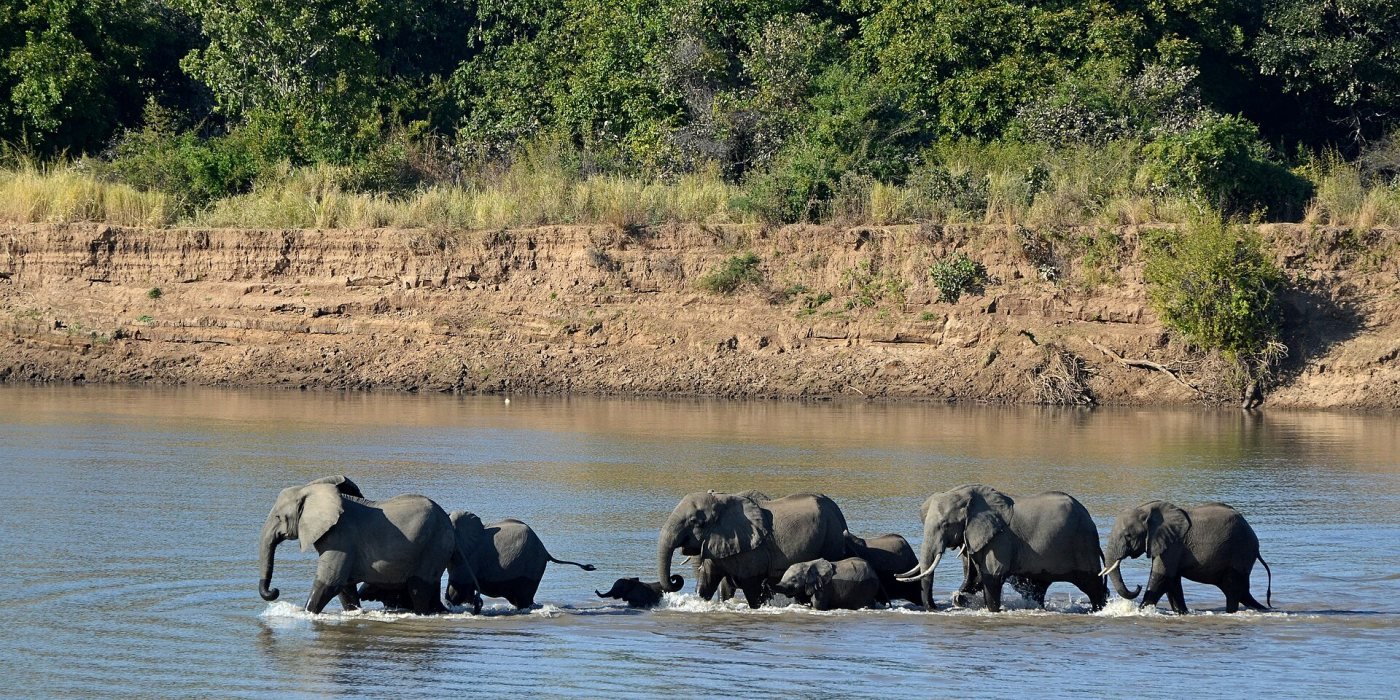 South Luangwa, South Luangwa