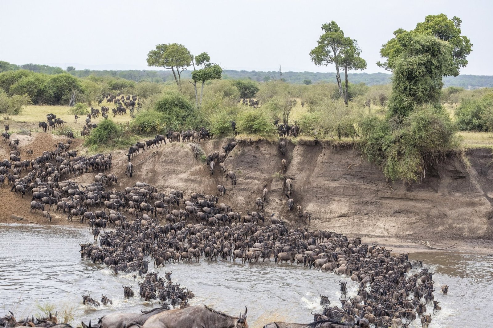 Kenya