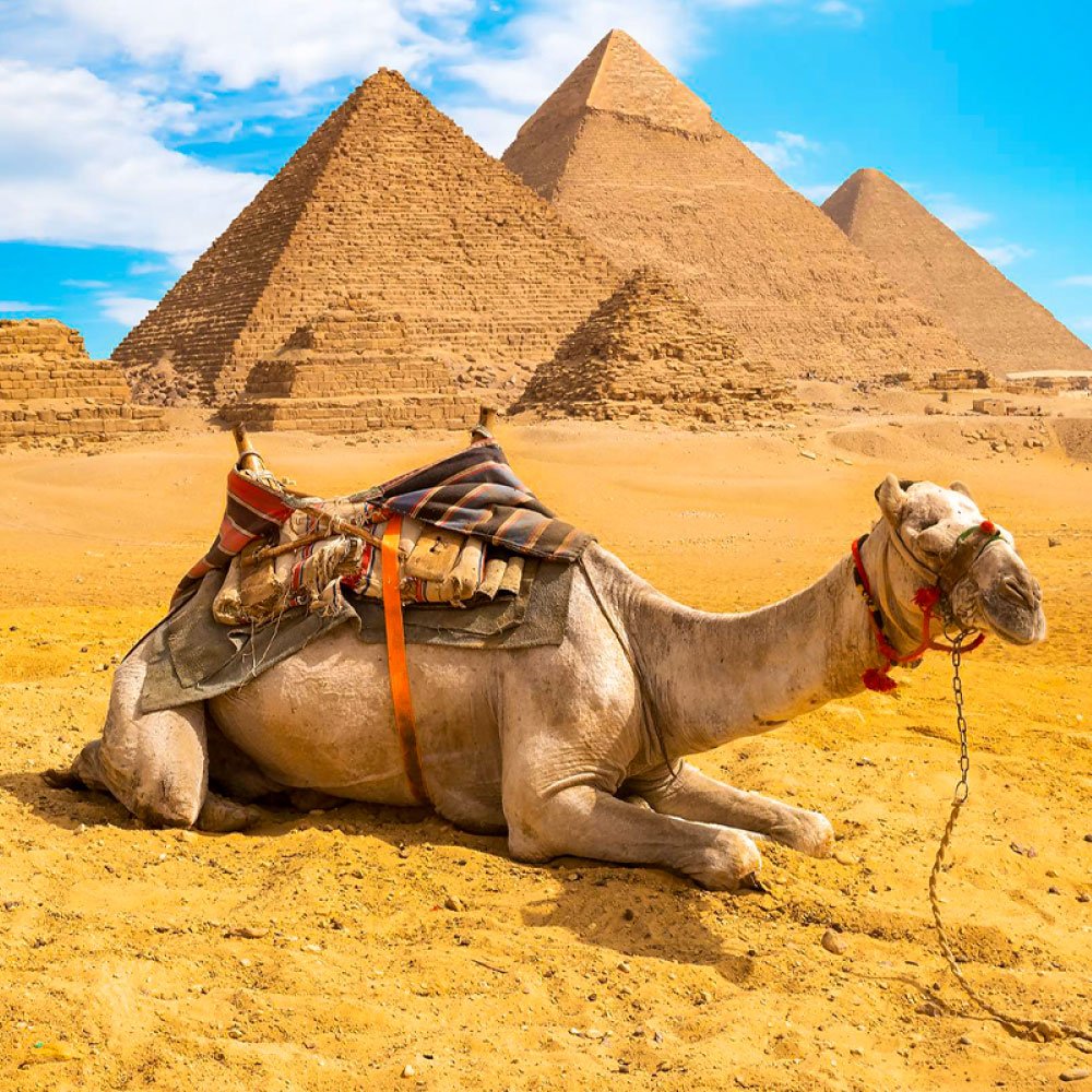 Cairo & the Pyramids