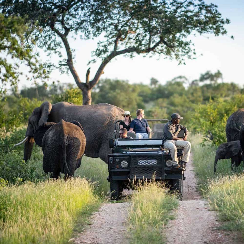 Kruger National Park